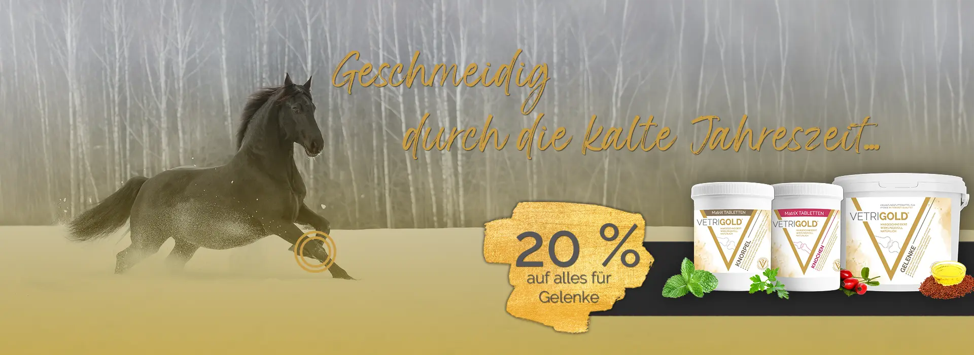 2025-11-11_BANNER_Gelenke20 Kopie