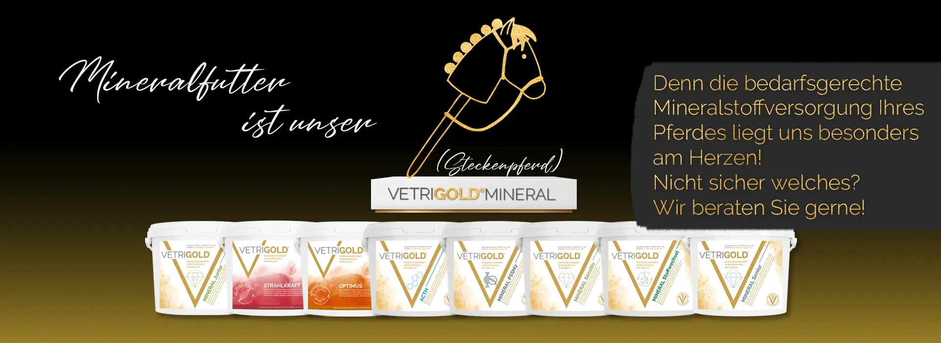 2025-03-25_BANNER_MiFu15_Steckenpferd Kopie